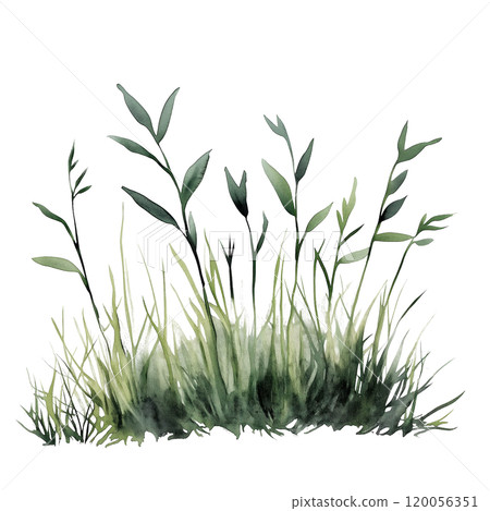 Watercolor illustration of grass blades on a transparent background. Perfect for natural design projects, eco-themed artwork, botanical illustrations, and minimalist nature-inspired compositions. 120056351