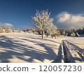 Winter Wonderland Landscape with Snow-Covered Trees 120057230