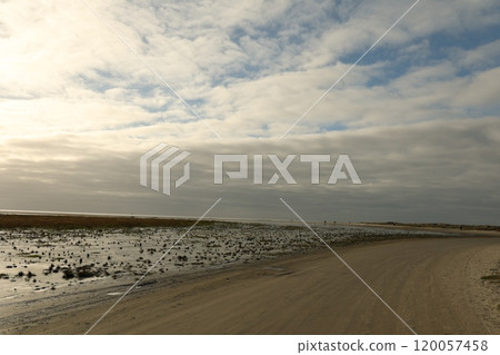 Wadden Sea coast 120057458