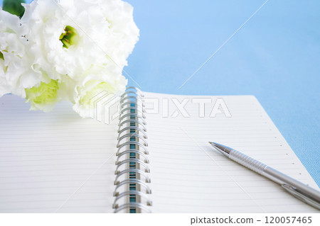 Blue background and white flowers Open notebook material 120057465