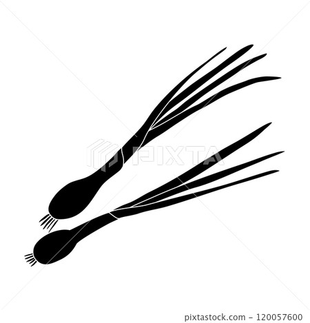 Black silhouette of green onion, chives or scallion, glyph icon flat vector illustration Black silhouette of green onion, chives or scallion, glyph icon flat vector illustration 120057600