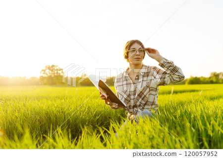 Ears of green wheat in the hands of a farmer. New harvest concept. 120057952