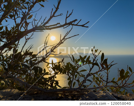 Sunset View From a Rocky Ledge With Silhouetted Branches Overlooking the Ocean 120058040