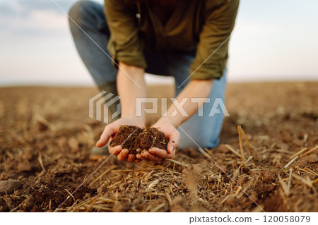 A young woman farmer holds black soil in hand on an agricultural field. Fertility concept, scaling. 120058079