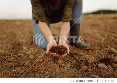 A young woman farmer holds black soil in hand on an agricultural field. Fertility concept, scaling. A young woman farmer holds black soil in hand on an agricultural field. Fertility concept, scaling. 120058080