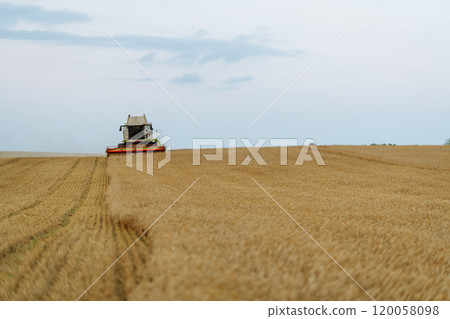 Industrial combine harvester harvests wheat cereals. Grain harvester. Time to harvest! Industrial combine harvester harvests wheat cereals. Grain harvester. Time to harvest! 120058098