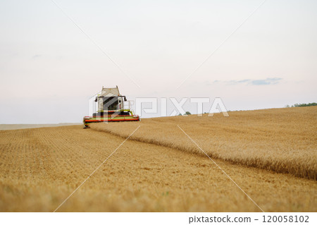 Industrial combine harvester harvests wheat cereals. Grain harvester. Time to harvest! Industrial combine harvester harvests wheat cereals. Grain harvester. Time to harvest! 120058102