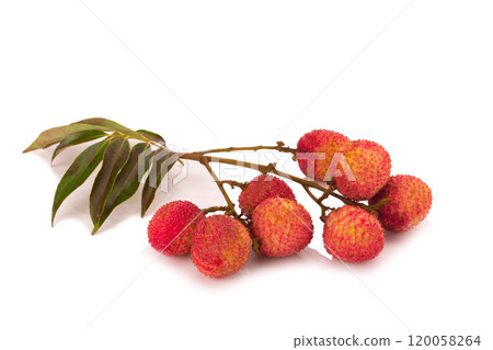 Fresh lychees isolated on white background Fresh lychees isolated on white background 120058264