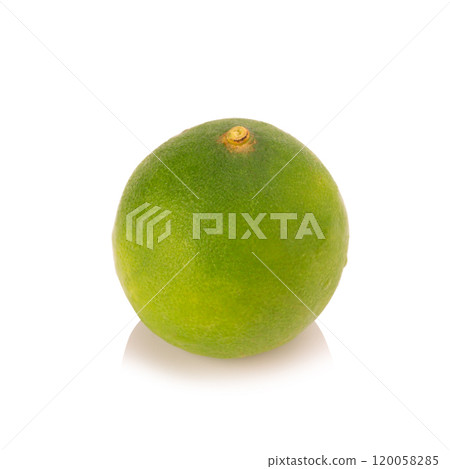 limes isolated on white background limes isolated on white background 120058285