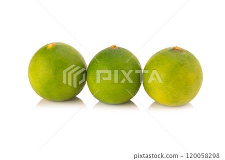 limes isolated on white background limes isolated on white background 120058298