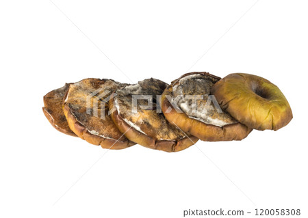 apple green dry rotten isolated white background 120058308