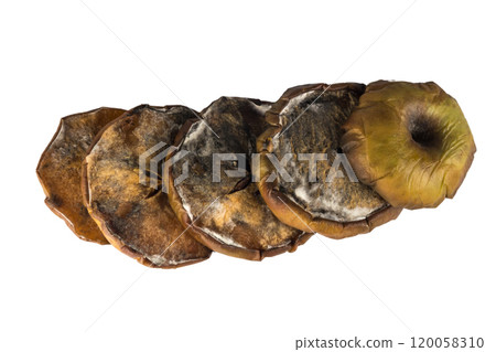 apple green dry rotten isolated white background 120058310