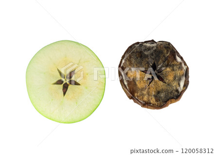 apple green dry rotten isolated white background 120058312