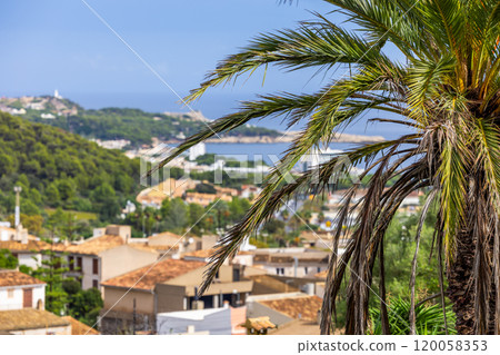 A palm tree in front of a view of the town of Capdepera and its district, the seaside resort of Cala Rajada, Mallorca, Balearic Islands, Spain, Europe 120058353