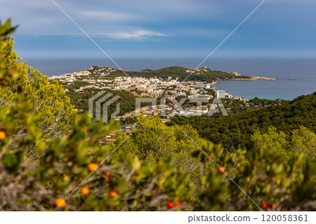 Panoramic view to the seaside resorts Cala Lliteras, Cala Rajada and Son Moll, districts of the town of Capdepera, Mallorca, Balearic Islands, Spain 120058361