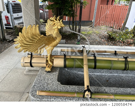 這是位於東京都江東區富岡八幡宮神社的金鳳凰雕像。 這是位於東京都江東區富岡八幡宮神社的金鳳凰雕像。 120058474