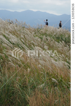 潘帕斯草、大石高原的山脈和人們 120058636