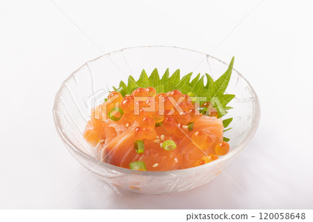 Salmon and salmon roe 120058648