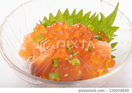 Salmon and salmon roe 120058649