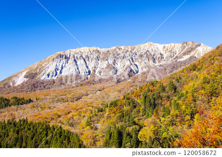 大山山毛櫸的紅葉（鍵掛嶺週邊） 120058672