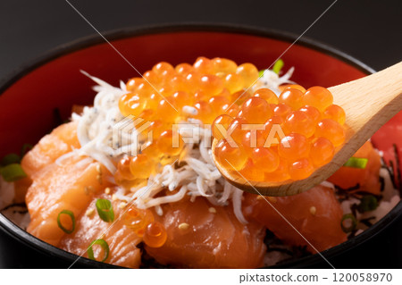 Seafood bowl (salmon, whitebait, salmon roe) Seafood bowl (salmon, whitebait, salmon roe) 120058970