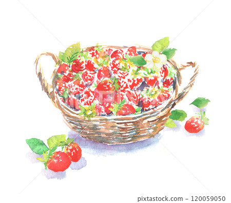 籃子裡草莓的水彩插圖 籃子裡草莓的水彩插圖 120059050