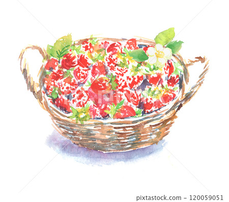籃子裡草莓的水彩插圖 120059051