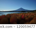 河口湖畔的富士山,被地膚子染得色彩繽紛。 河口湖畔的富士山,被地膚子染得色彩繽紛。 120059477