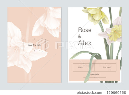 Floral wedding invitation card template design, daffodil flowers with leaves on bright red and white Floral wedding invitation card template design, daffodil flowers with leaves on bright red and white 120060368