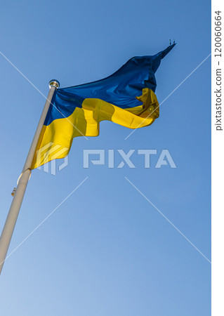 Ukrainian national flag on the background of the blue sky 120060664