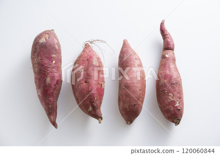 Hime Ayaka Sweet potato Hime Ayaka Sweet potato 120060844