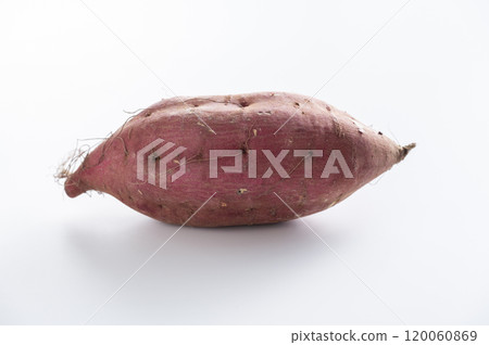 姬綾香紅薯 姬綾香紅薯 120060869