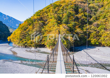 [Shizuoka Prefecture] Beautiful autumn foliage at Lake Hatanagi (the source of the Oi River) - View of the downstream area from the Hatanagi Suspension Bridge 120061002
