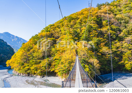 [Shizuoka Prefecture] Beautiful autumn foliage at Lake Hatanagi (the source of the Oi River) - View of the downstream area from the Hatanagi Suspension Bridge 120061003