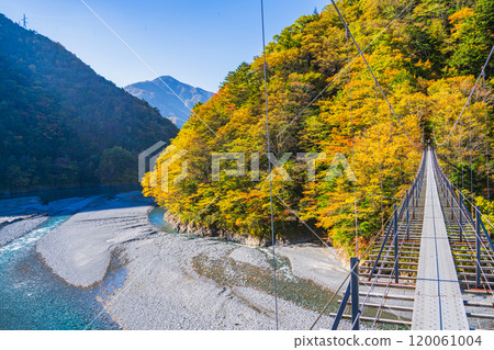 [Shizuoka Prefecture] Beautiful autumn foliage at Lake Hatanagi (the source of the Oi River) - View of the downstream area from the Hatanagi Suspension Bridge 120061004
