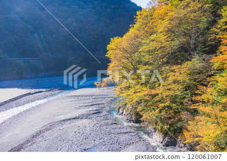 [Shizuoka Prefecture] Beautiful autumn foliage at Lake Hatanagi (the source of the Oi River) - View of the downstream area from the Hatanagi Suspension Bridge 120061007