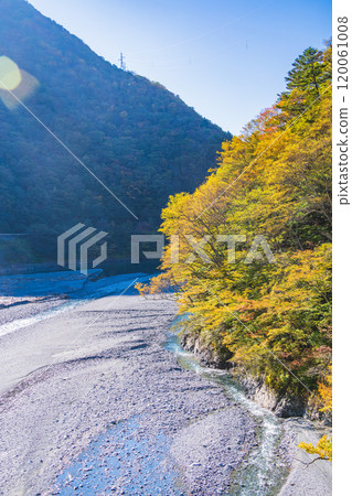 [Shizuoka Prefecture] Beautiful autumn foliage at Lake Hatanagi (the source of the Oi River) - View of the downstream area from the Hatanagi Suspension Bridge 120061008