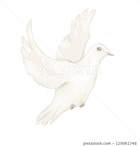Dove Beige in Flight Illustration Digital Watercolor for Printing and Web Dove Beige in Flight Illustration Digital Watercolor for Printing and Web 120061348