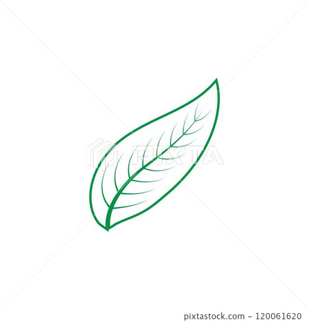 leaf logo 120061620