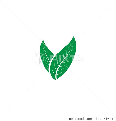 leaf logo 120061623