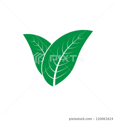 leaf logo 120061624