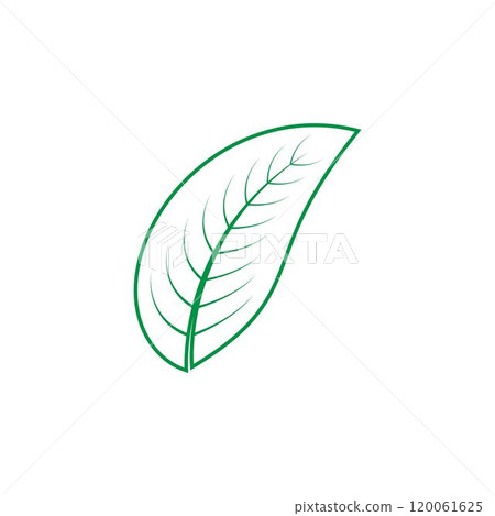 leaf logo 120061625