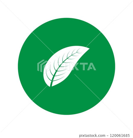 leaf logo 120061685