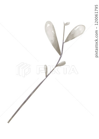 Illustration Watercolor Branch with Leaves Monochrome. Digital Clipart Vintage for Printing and Web Illustration Watercolor Branch with Leaves Monochrome. Digital Clipart Vintage for Printing and Web 120061795