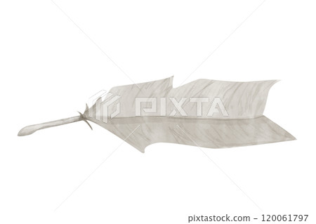 Illustration Watercolor Bird Feather Antique Monochrome. Digital Clipart Vintage for Printing and Web Illustration Watercolor Bird Feather Antique Monochrome. Digital Clipart Vintage for Printing and Web 120061797