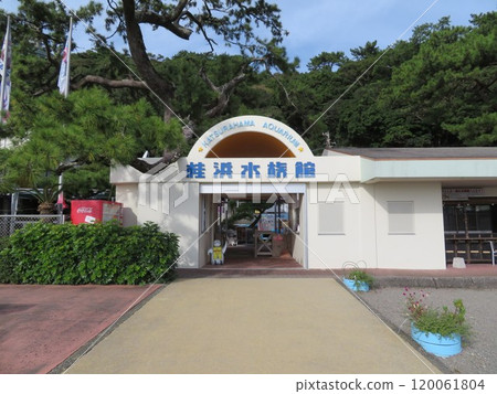高知縣高知市桂濱水族館 高知縣高知市桂濱水族館 120061804