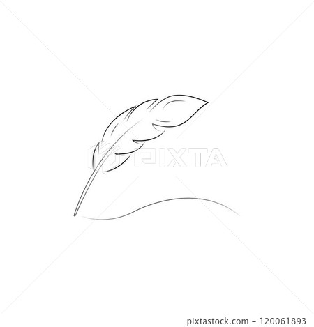 black feather isolated on white background 120061893
