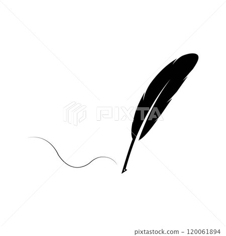 black feather isolated on white background 120061894