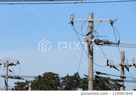 普通電線 普通電線 120061948