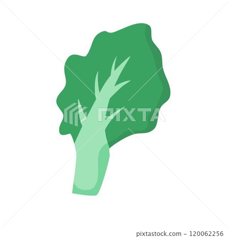 floating green mustard lettuce floating green mustard lettuce 120062256